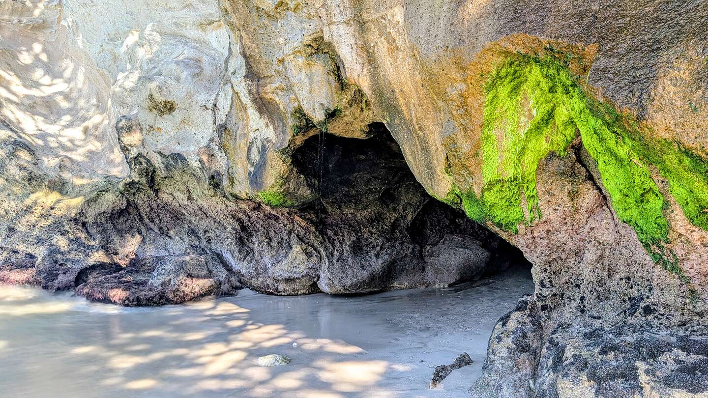 Mossy Grotto